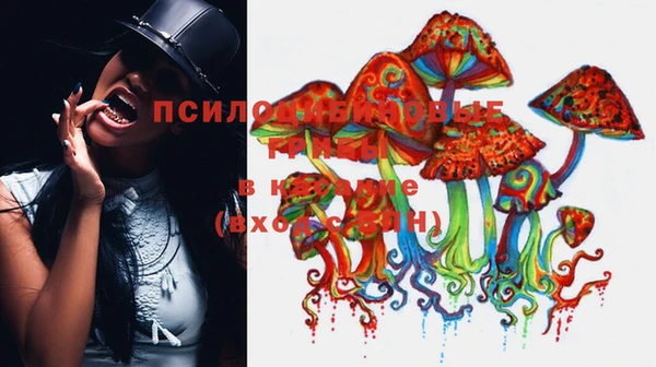 винт Белокуриха
