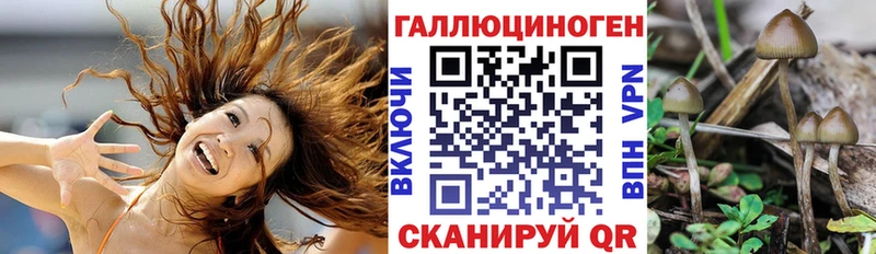 Галлюциногенные грибы Magic Shrooms  где можно купить наркотик  Великий Устюг 