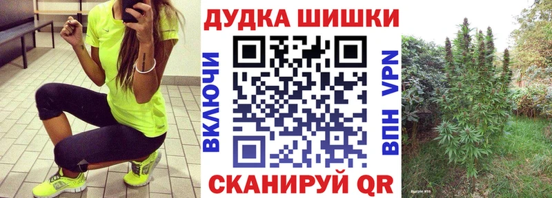 Конопля сатива  Великий Устюг 